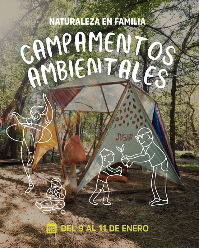 feea6fd0-cc09-4f3d-86da-a5b89811d395