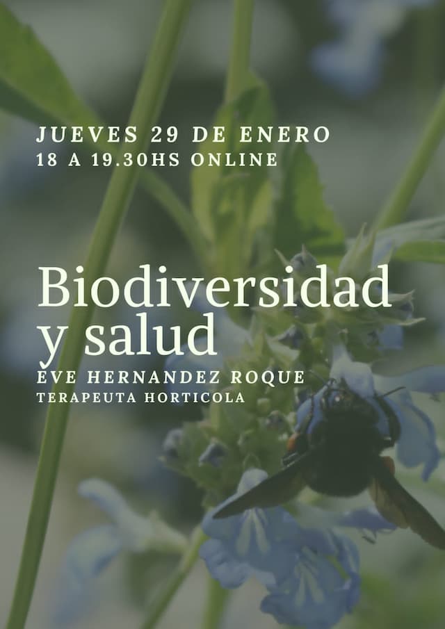 11b0c70c-663e-43a1-9ab2-b84994861c62