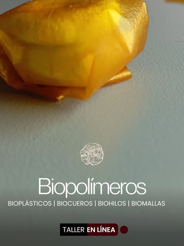 4f467095-34c2-40ca-8dcb-a2cb5ae2d1c7