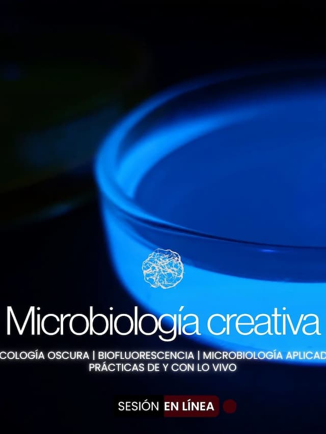 99b02939-3d5a-432a-b9e5-7baa2fbf2c7f