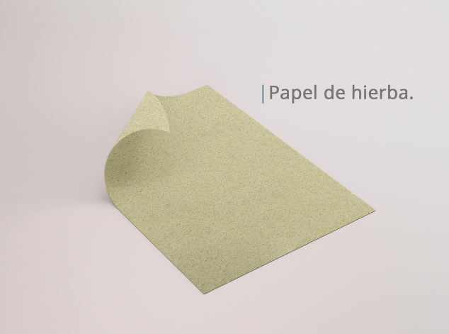 Descubrí cómo hacer papel con hierba
