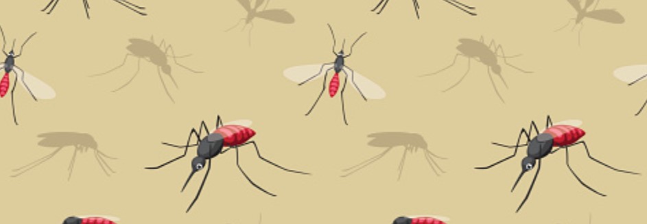 DIY: mosquitera casera para tu hogar