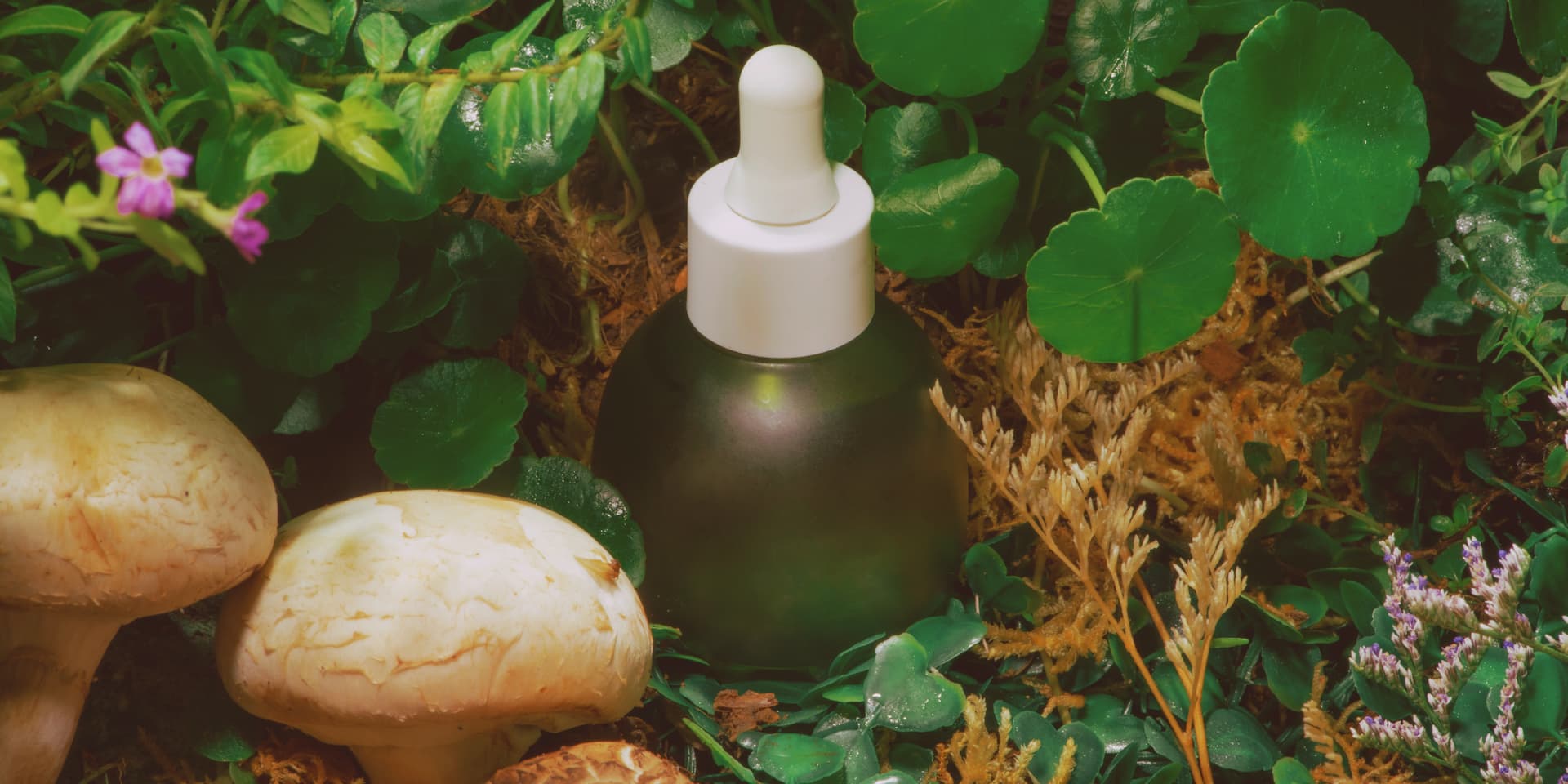 Tips para consumir cosméticos sin dañar(nos)