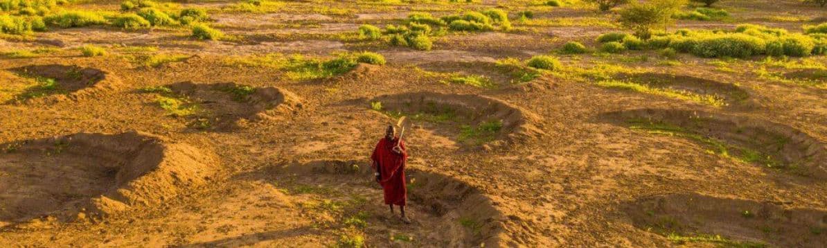 Bunds: Los héroes ecológicos de África