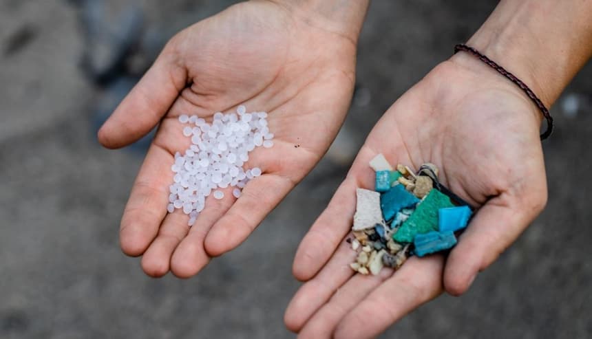 ¿Cómo podemos limpiar nuestras playas?