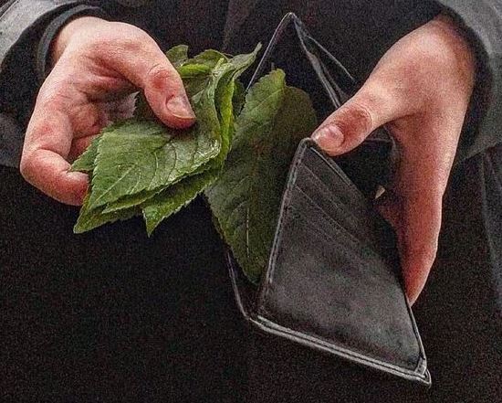 ¿Cuál es la economía positiva para la naturaleza?