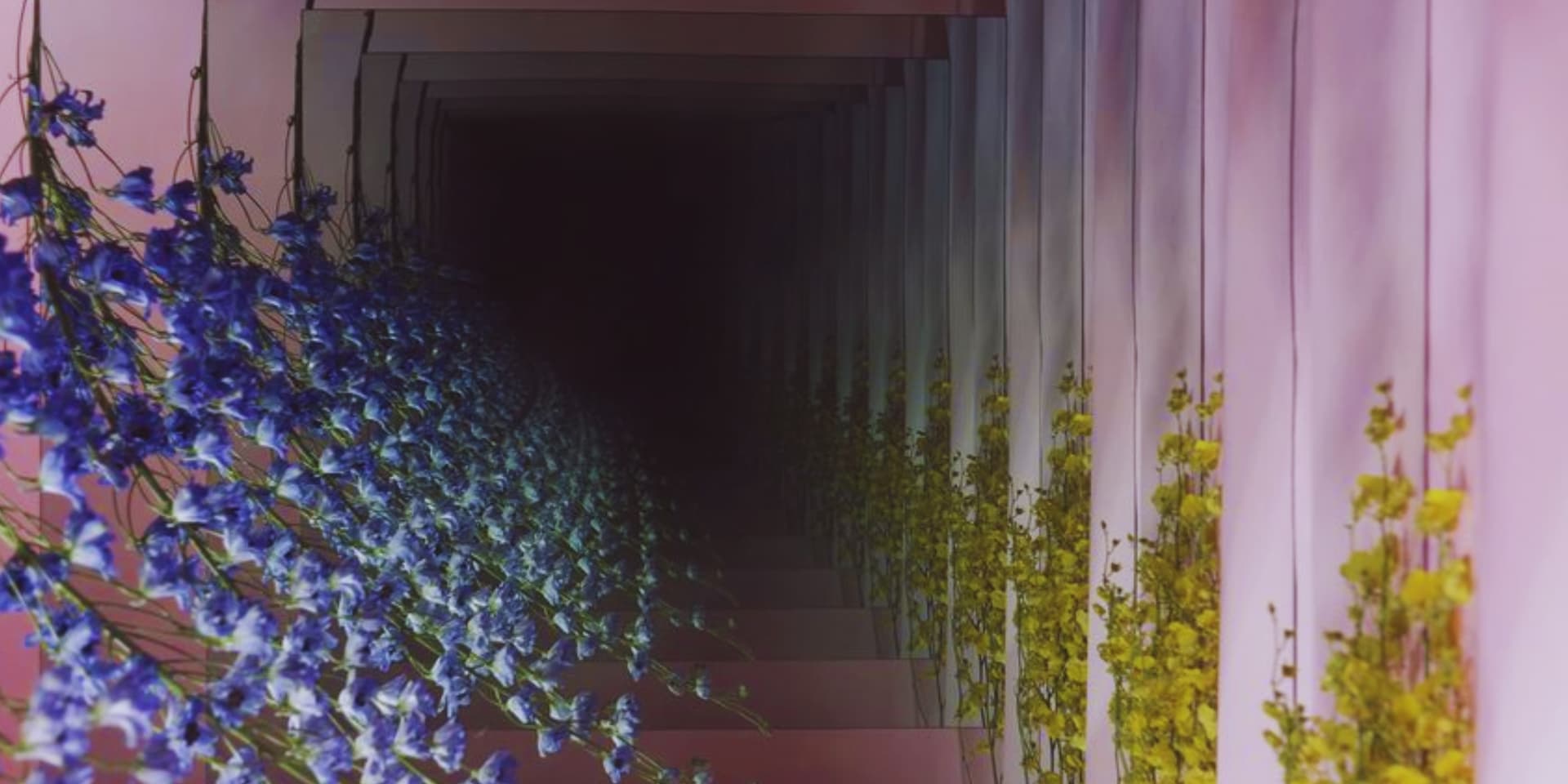 Mirar la raíz y no el fruto