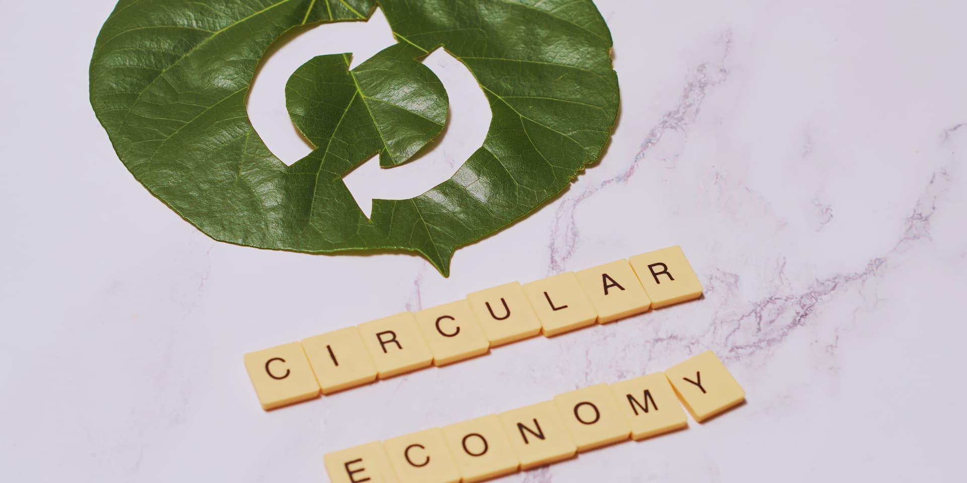 Qué es la economía circular