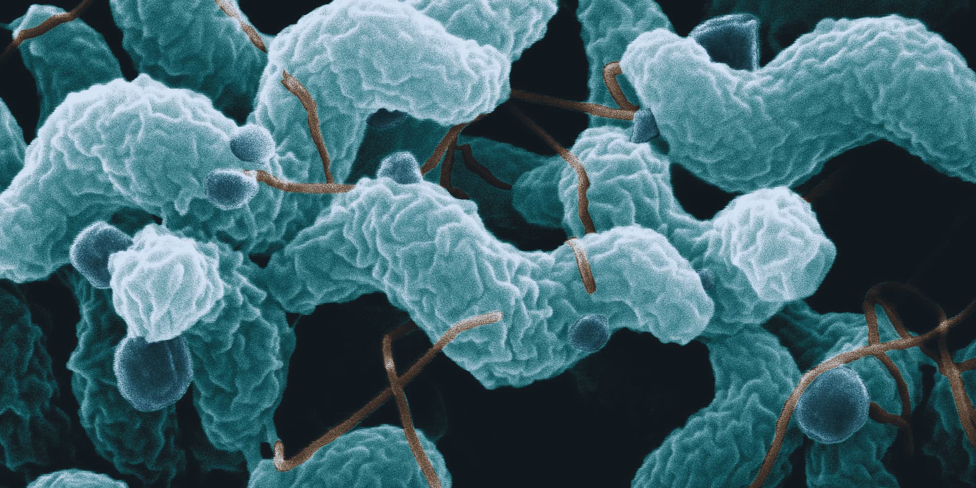 Un invento para reducir la contaminación plástica