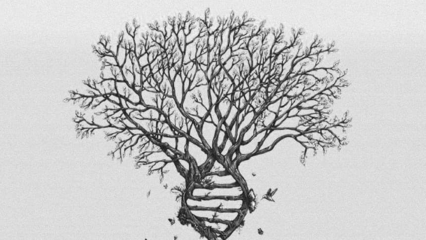 ¿Qué es la decodificación de la memoria celular?