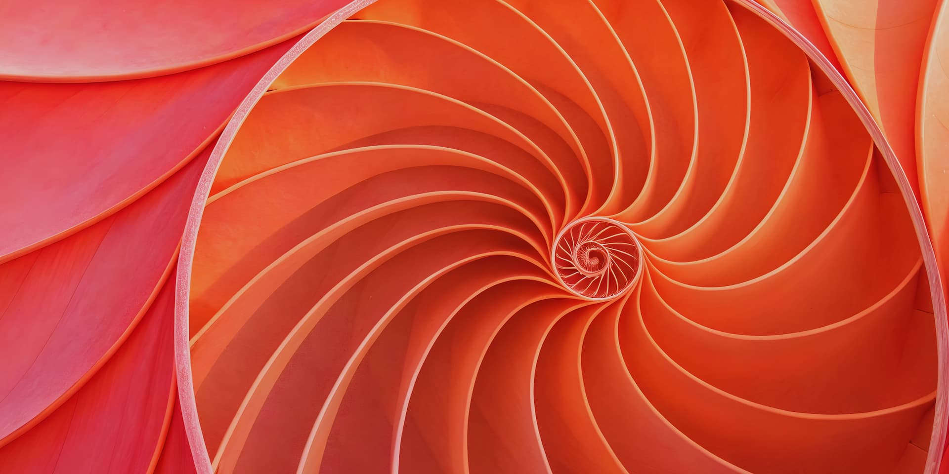 ¿Ya conoces el código secreto de la naturaleza?