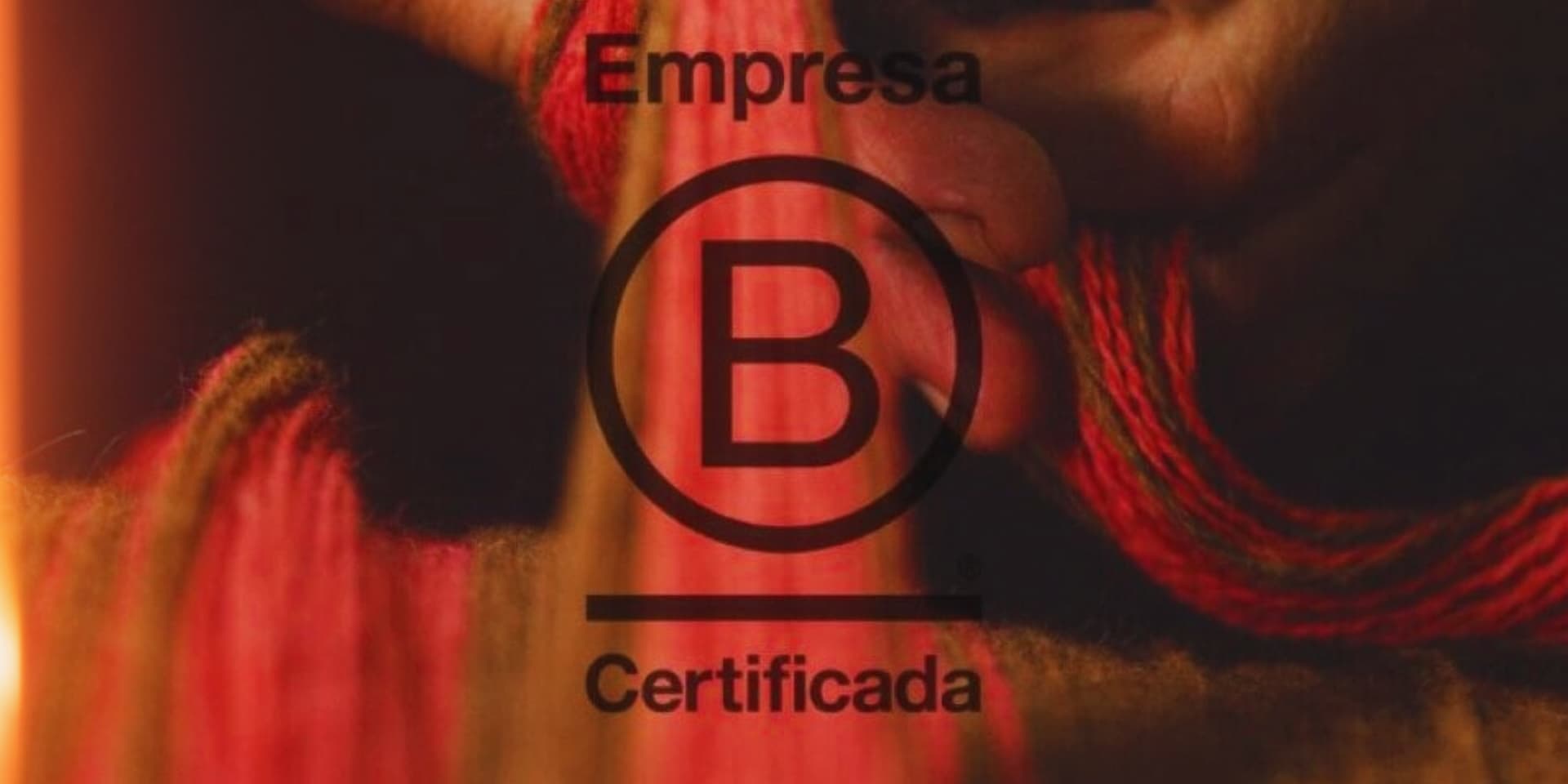 ¿Qué son las empresas B?