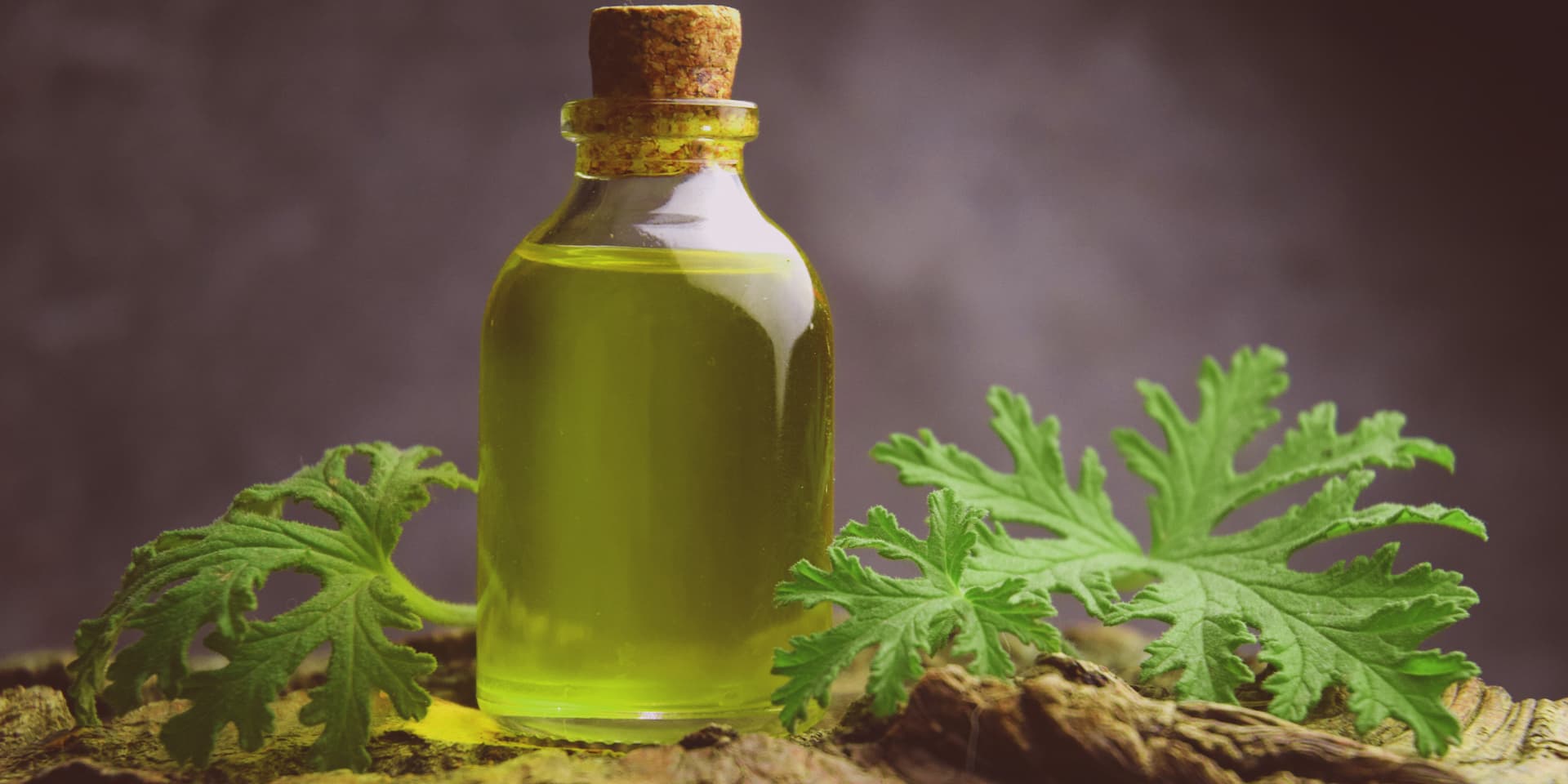 Repelente natural de mosquitos y mucho más