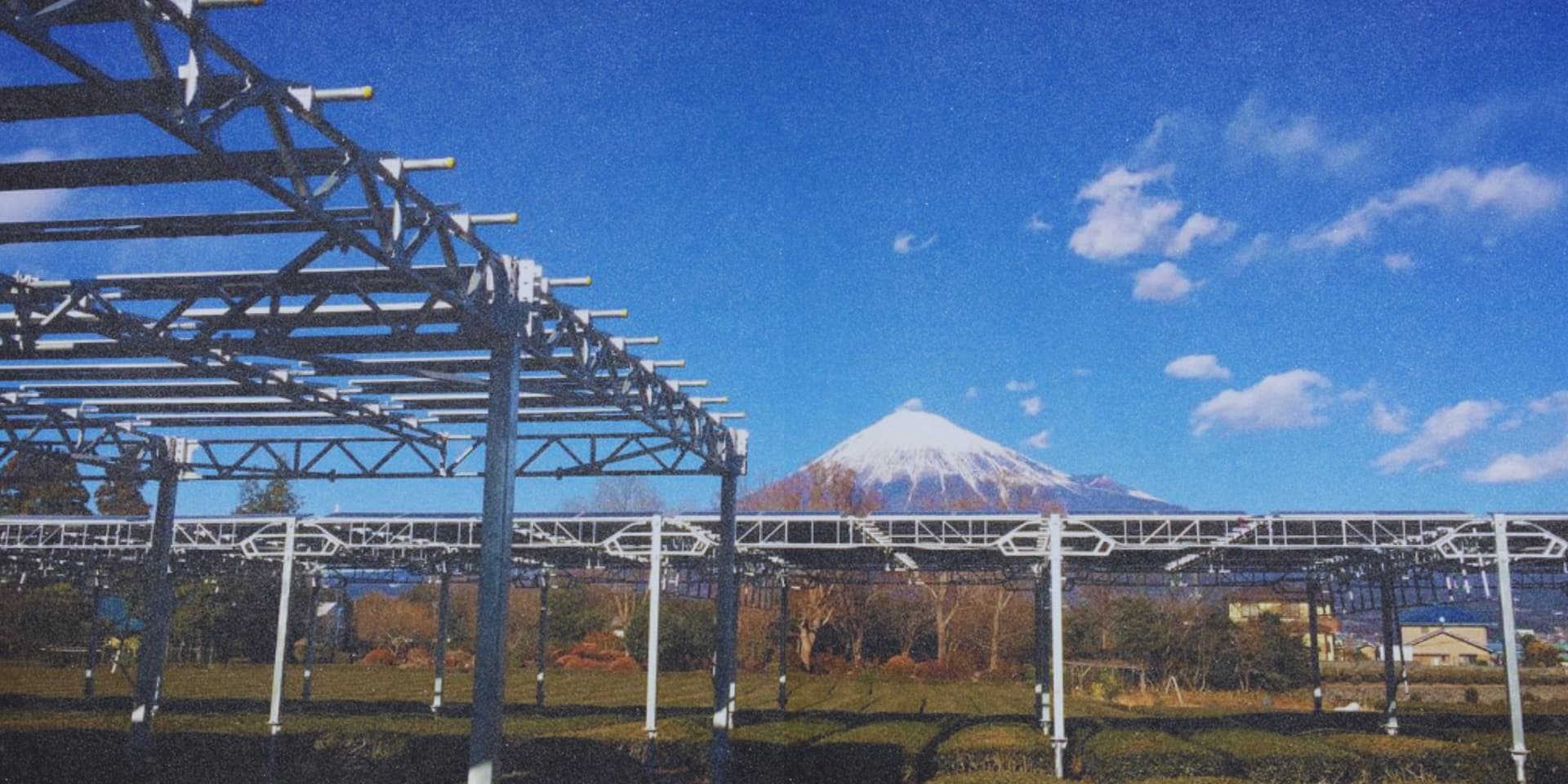 ¿Cómo cuidar la energía que tenemos?