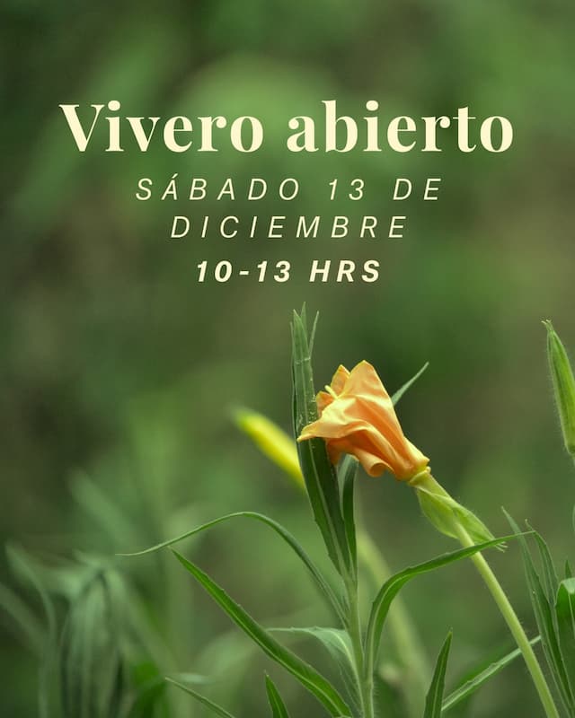 62f294f0-d2d4-4a84-9889-11acac448086