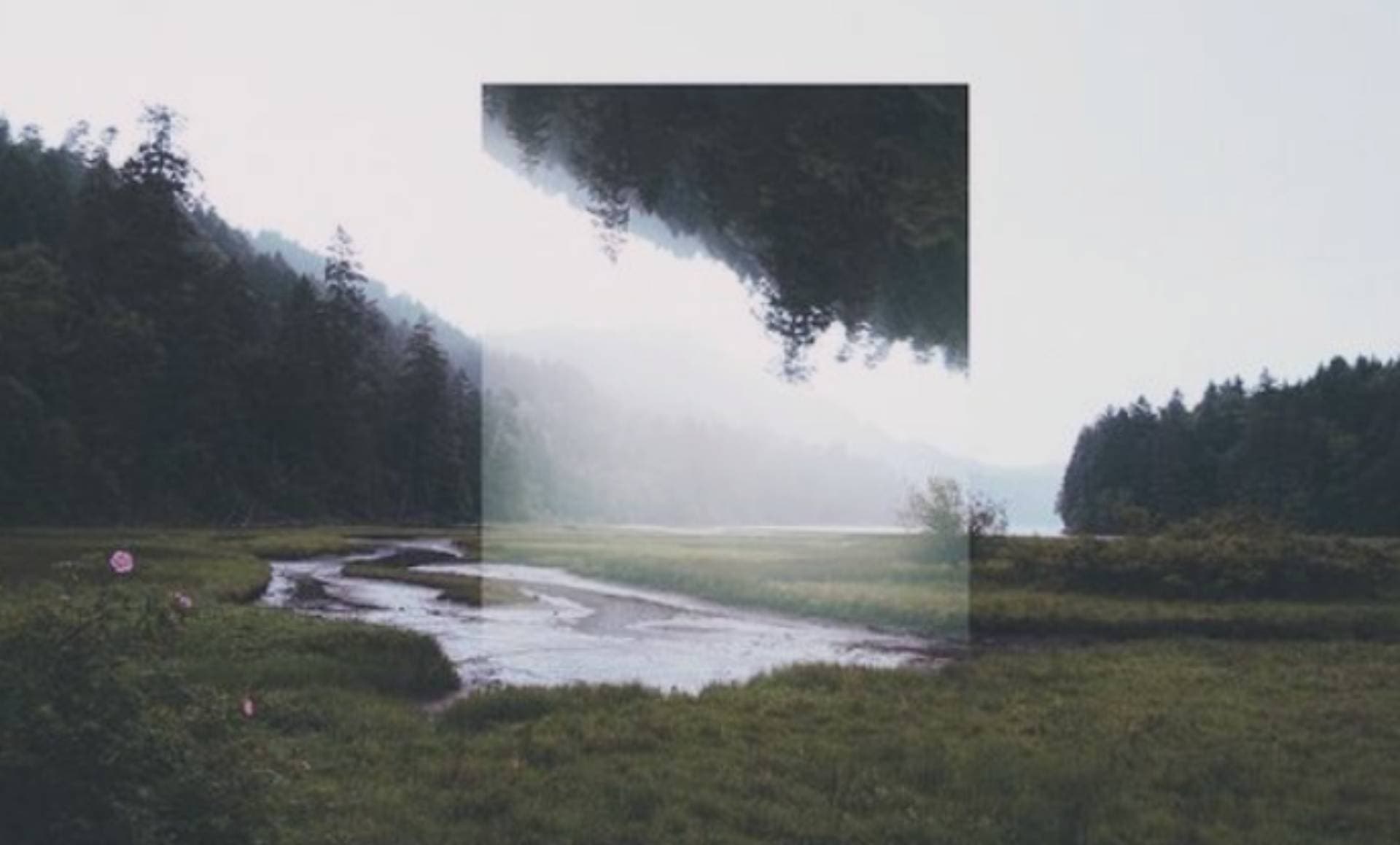 La percepción de la realidad