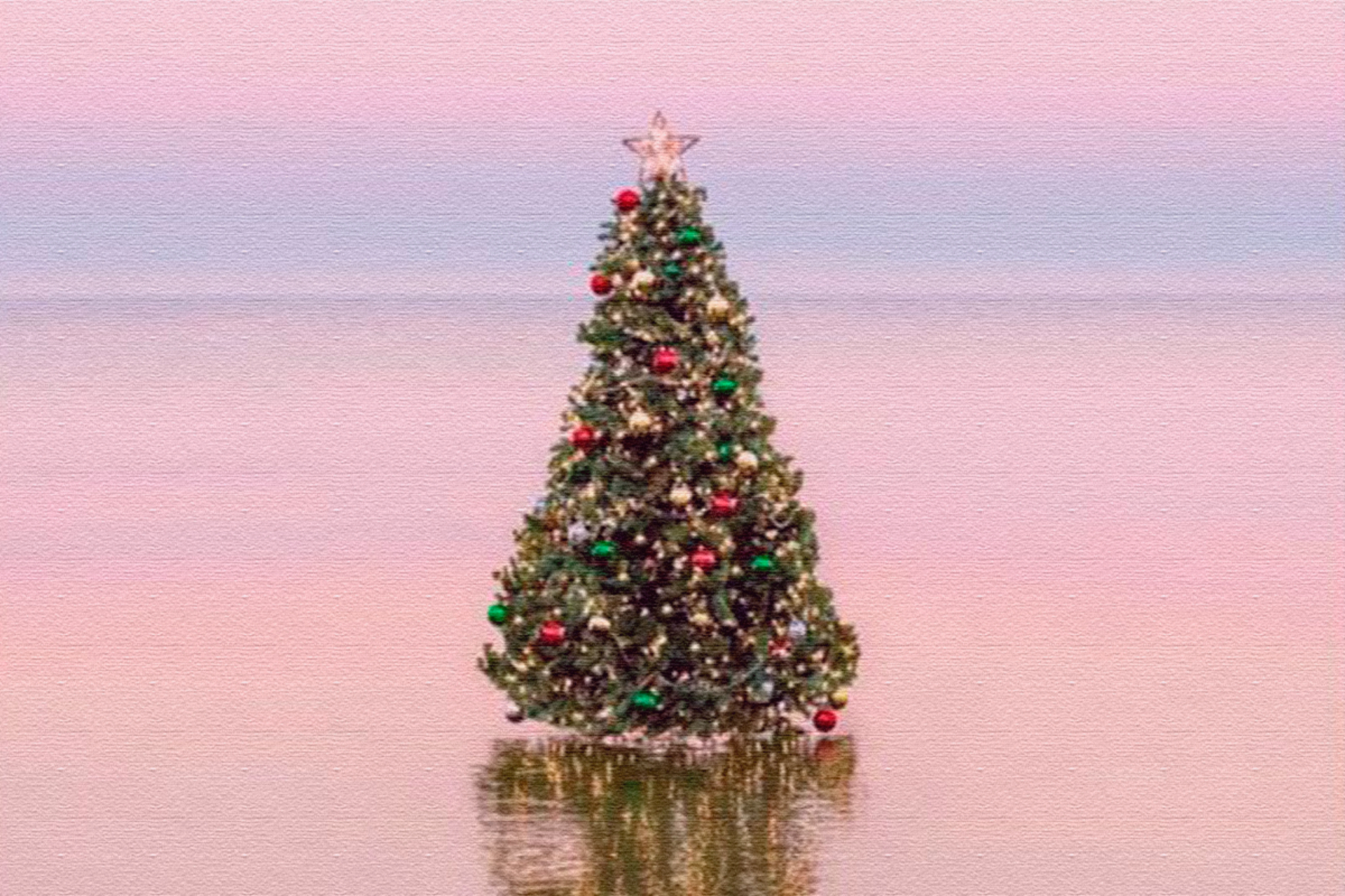 El verdadero sentido de la Navidad