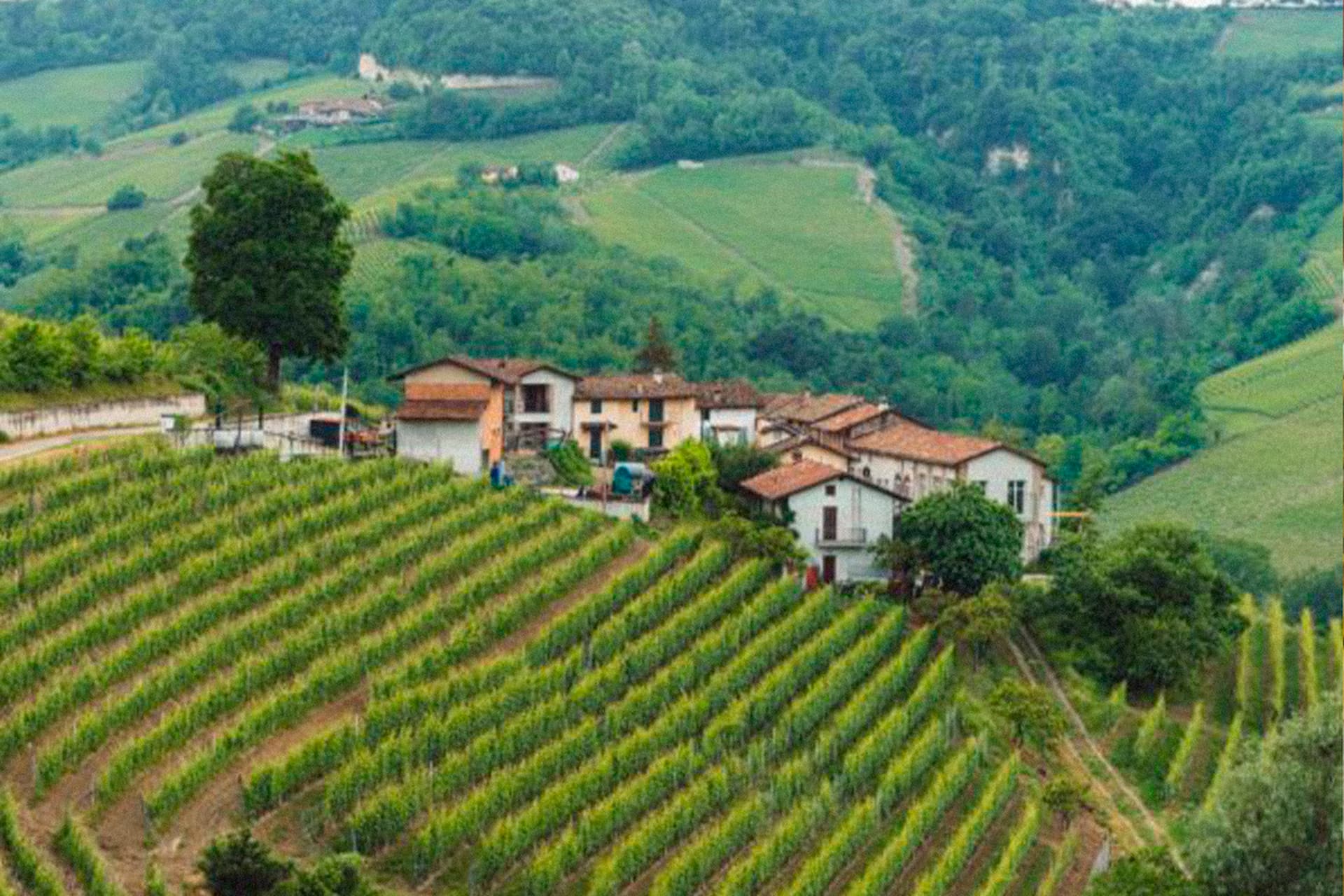 ¿Qué es la permacultura?